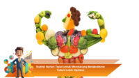 Nutrisi-Harian-Tepat-untuk-Mendukung-Metabolisme-Tubuh-Lebih-Optimal